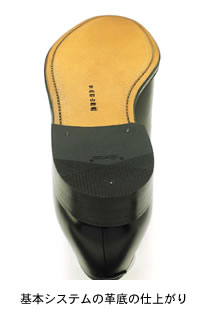 ��{�V�X�e���̊v��̎d�オ��