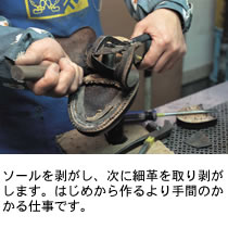 �\�[���𔍂����A���ɍ׊v����蔍�����܂��B�͂��߂��������Ԃ̂�����d���ł��B