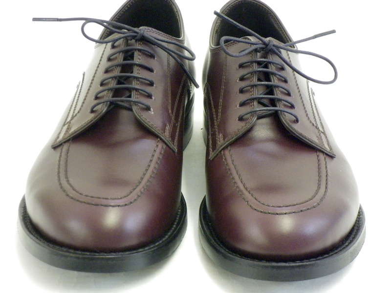 �`��/ densuke MD-01